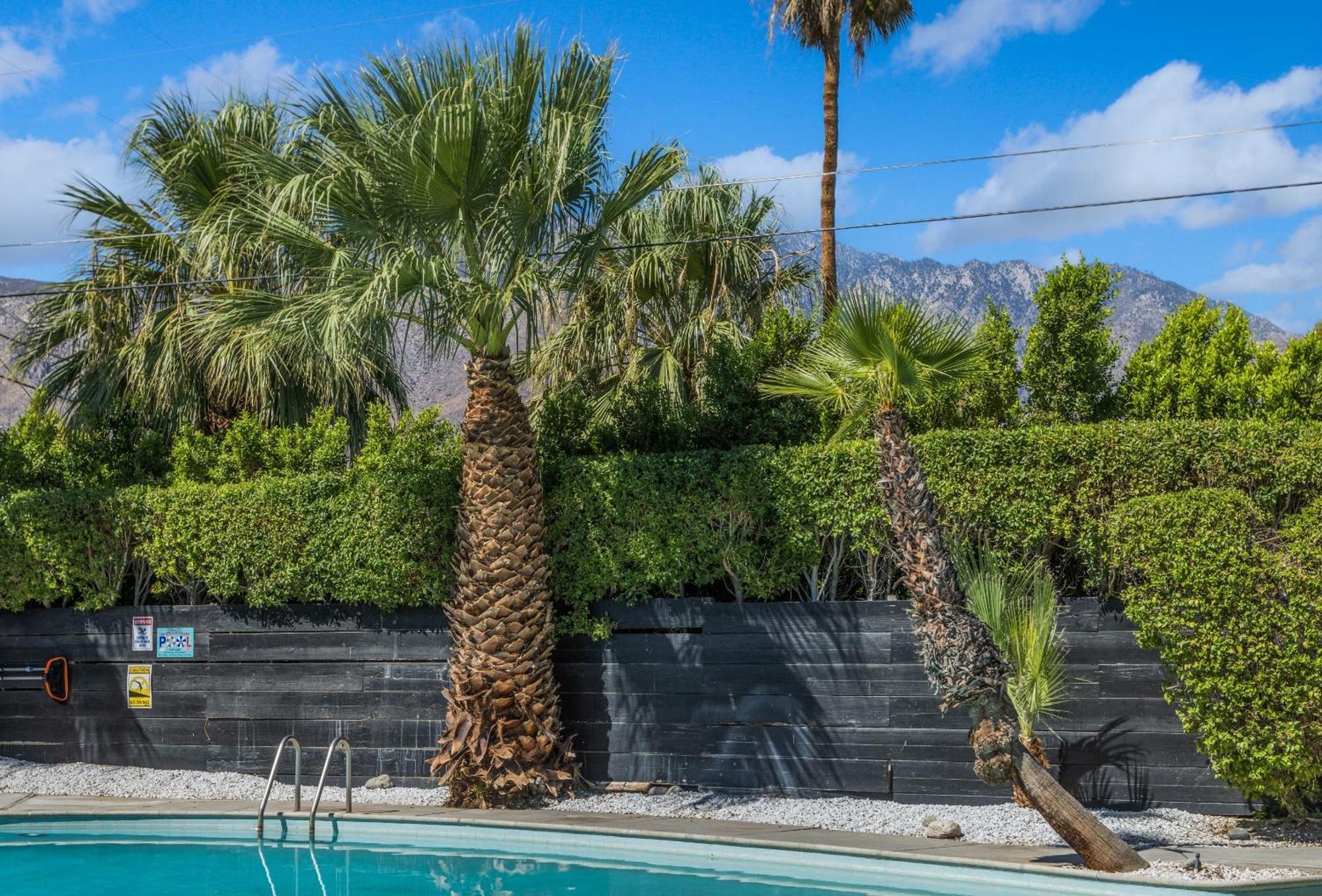 Former Steve Mcqueen'S Home Παλμ Σπρινγκς Εξωτερικό φωτογραφία
