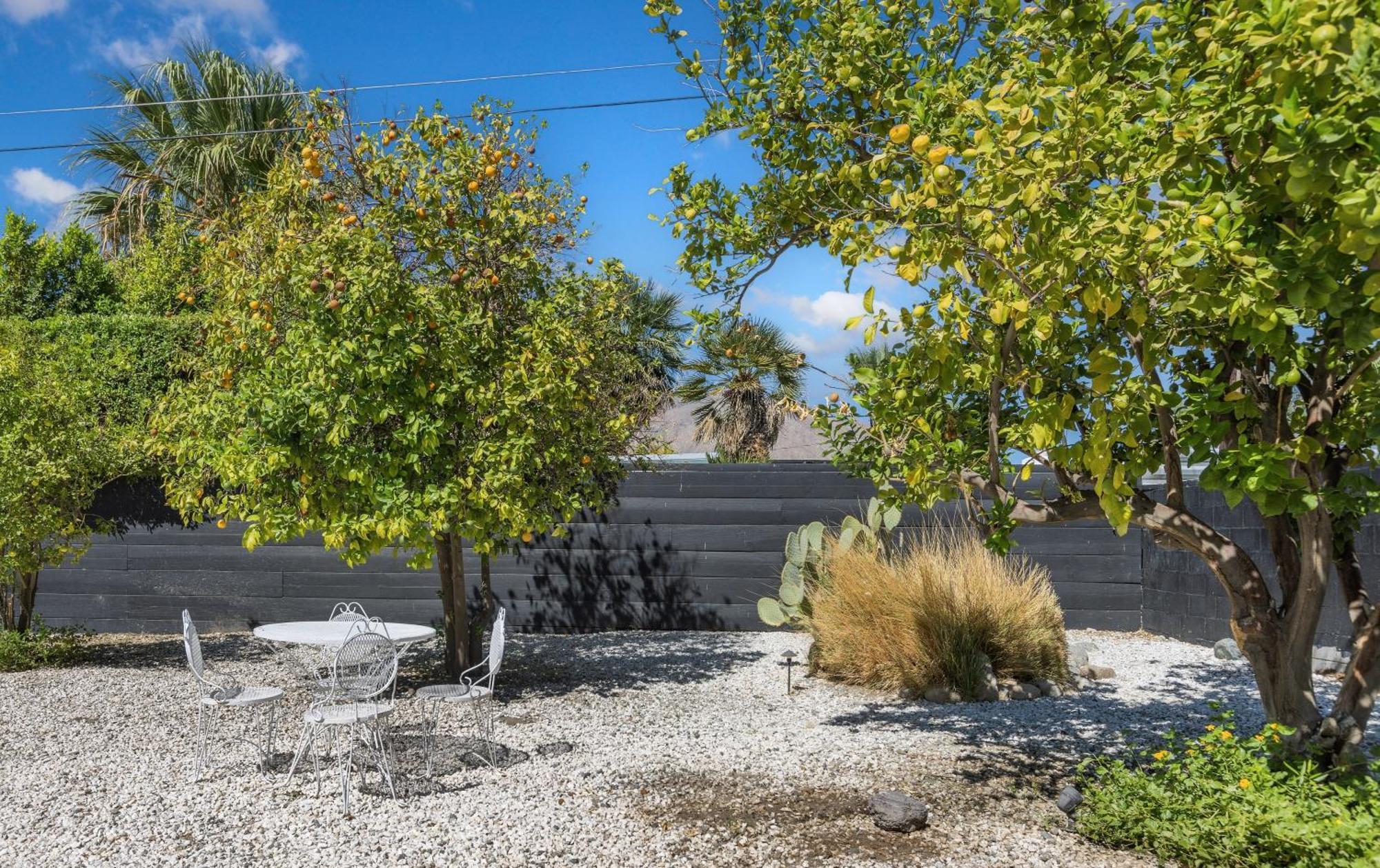 Former Steve Mcqueen'S Home Παλμ Σπρινγκς Εξωτερικό φωτογραφία